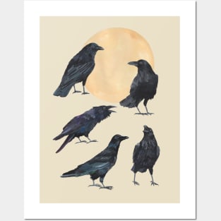 Ravens Posters and Art